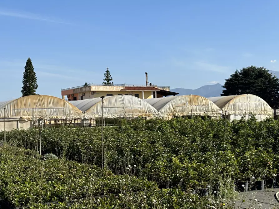 Immagine 7 di Terreno in vendita  in VIA PASTRENGO a Boscotrecase