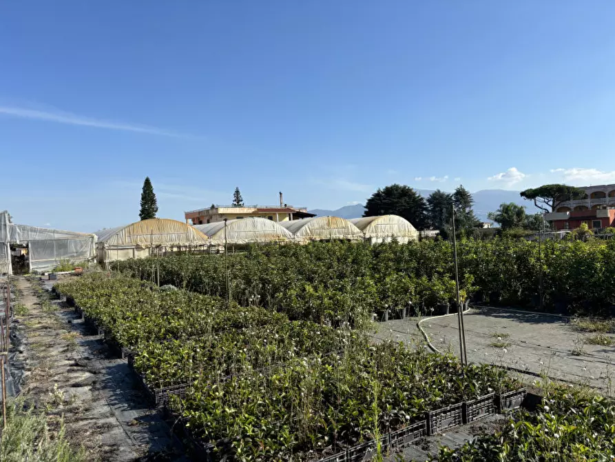 Immagine 8 di Terreno in vendita  in VIA PASTRENGO a Boscotrecase