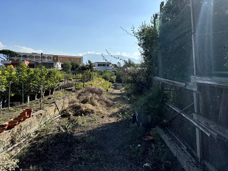 Immagine 10 di Terreno in vendita  in VIA PASTRENGO a Boscotrecase