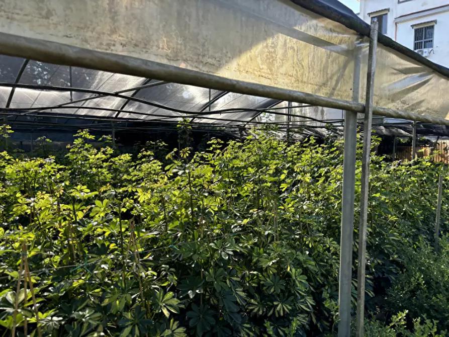 Immagine 12 di Terreno in vendita  in VIA PASTRENGO a Boscotrecase