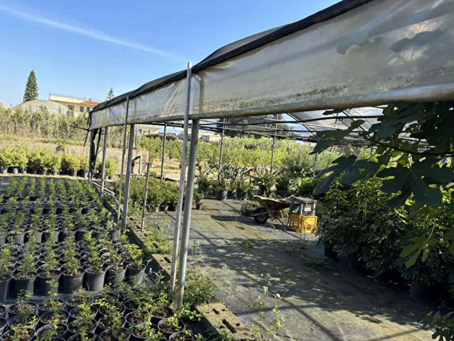 Immagine 14 di Terreno in vendita  in VIA PASTRENGO a Boscotrecase