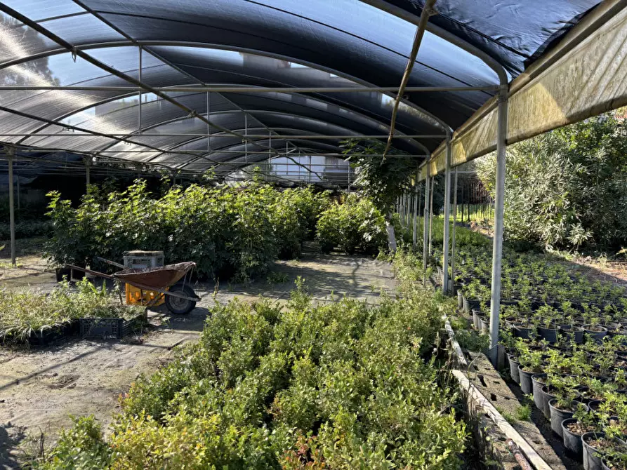 Immagine 15 di Terreno in vendita  in VIA PASTRENGO a Boscotrecase