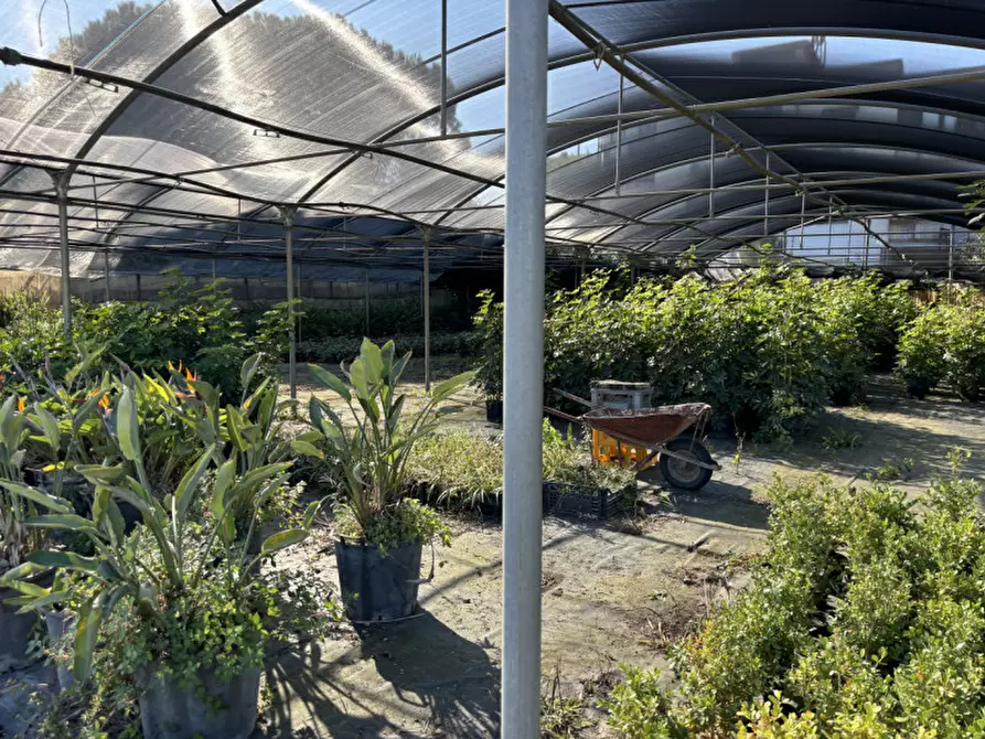 Immagine 16 di Terreno in vendita  in VIA PASTRENGO a Boscotrecase