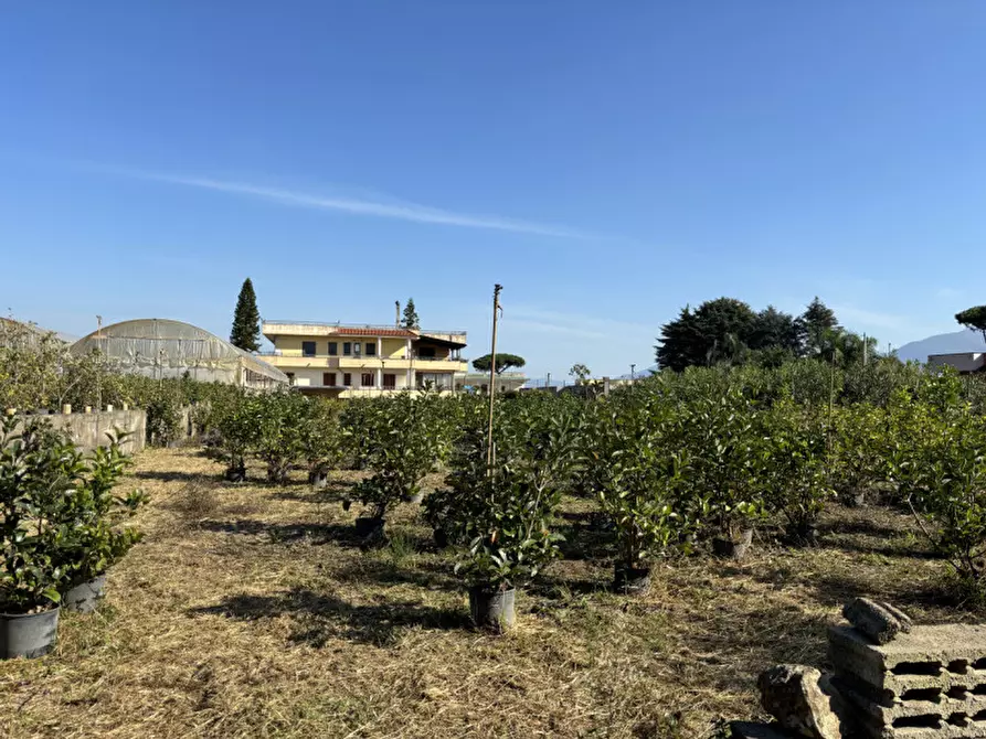 Immagine 18 di Terreno in vendita  in VIA PASTRENGO a Boscotrecase