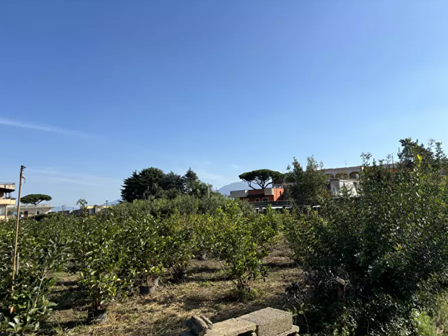 Immagine 19 di Terreno in vendita  in VIA PASTRENGO a Boscotrecase