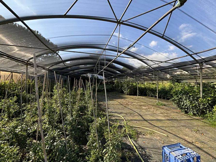 Immagine 20 di Terreno in vendita  in VIA PASTRENGO a Boscotrecase