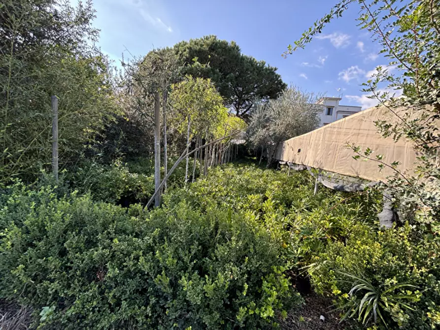 Immagine 22 di Terreno in vendita  in VIA PASTRENGO a Boscotrecase