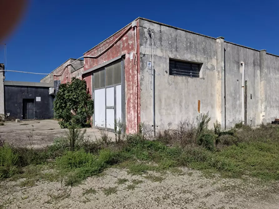 Immagine 8 di Villa in vendita  in Contrada Tre Masserie a Cutrofiano