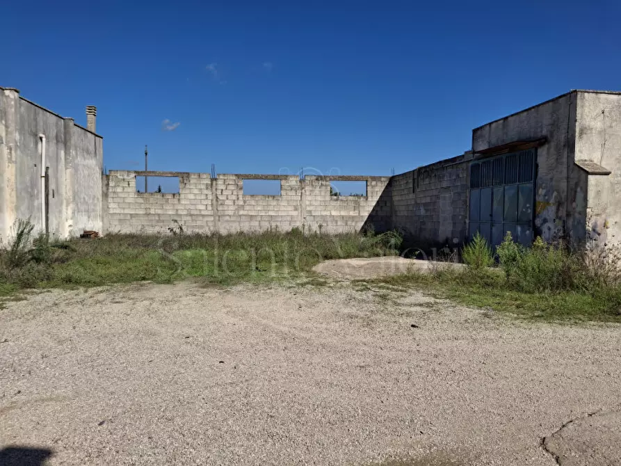 Immagine 10 di Villa in vendita  in Contrada Tre Masserie a Cutrofiano