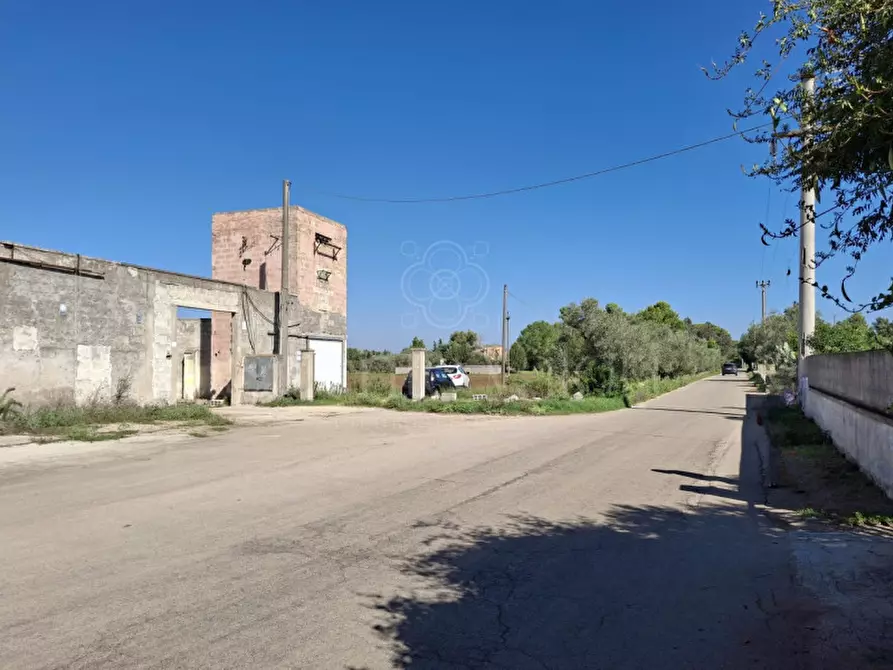 Immagine 13 di Villa in vendita  in Contrada Tre Masserie a Cutrofiano