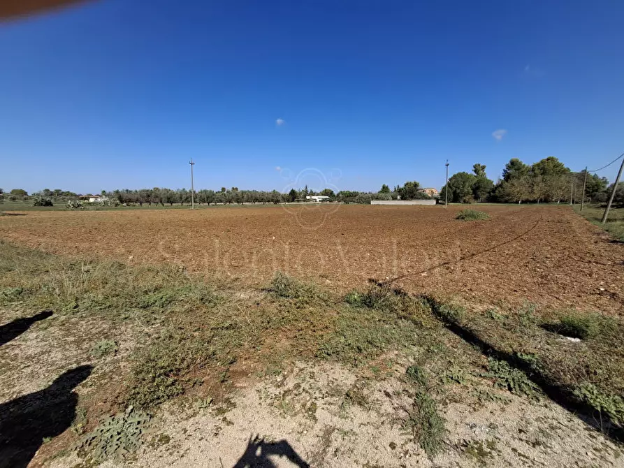 Immagine 16 di Villa in vendita  in Contrada Tre Masserie a Cutrofiano