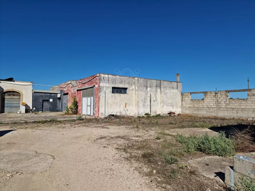 Immagine 18 di Villa in vendita  in Contrada Tre Masserie a Cutrofiano