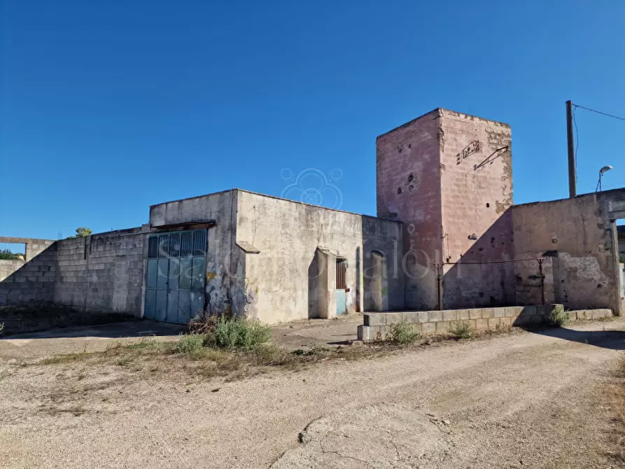 Immagine 19 di Villa in vendita  in Contrada Tre Masserie a Cutrofiano