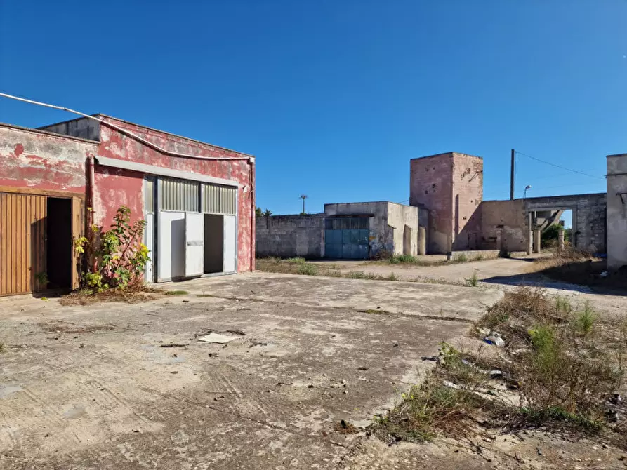 Immagine 26 di Villa in vendita  in Contrada Tre Masserie a Cutrofiano