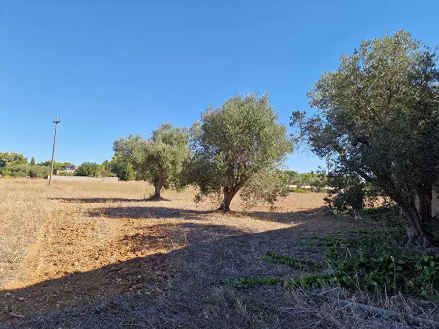 Immagine 32 di Villa in vendita  in Contrada Tre Masserie a Cutrofiano