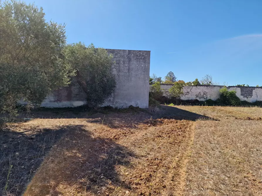 Immagine 34 di Villa in vendita  in Contrada Tre Masserie a Cutrofiano