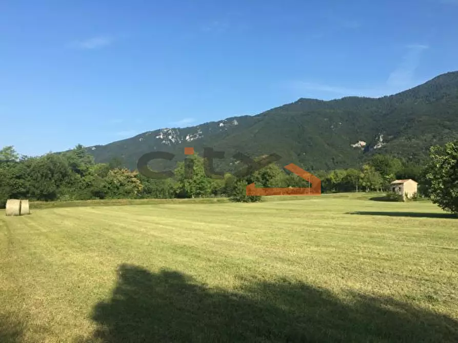 Immagine 4 di Terreno in vendita  a Borso Del Grappa
