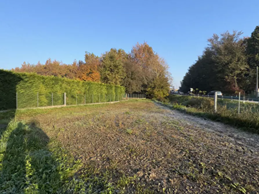 Immagine 4 di Casa indipendente in vendita  in Vigonza Via Murano 1 a Vigonza