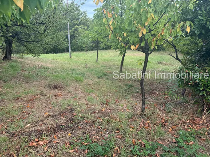 Immagine 3 di Casa indipendente in vendita  in SP81, 65010 Vestea PE a Civitella Casanova