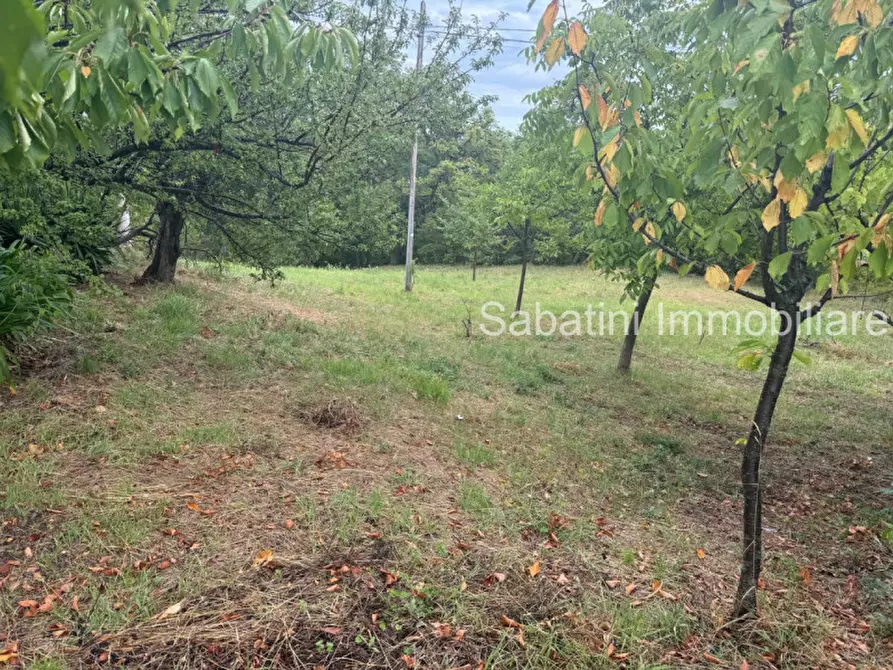 Immagine 4 di Casa indipendente in vendita  in SP81, 65010 Vestea PE a Civitella Casanova