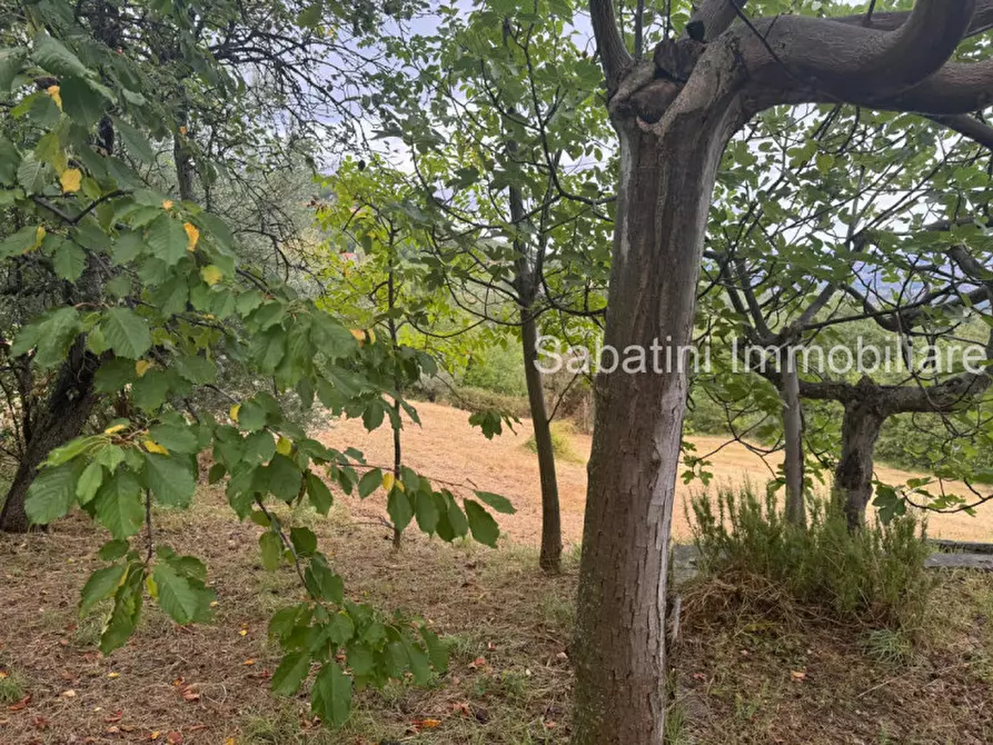 Immagine 6 di Casa indipendente in vendita  in SP81, 65010 Vestea PE a Civitella Casanova