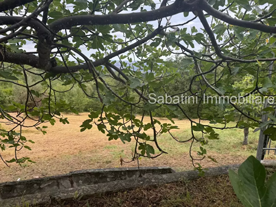 Immagine 18 di Casa indipendente in vendita  in SP81, 65010 Vestea PE a Civitella Casanova