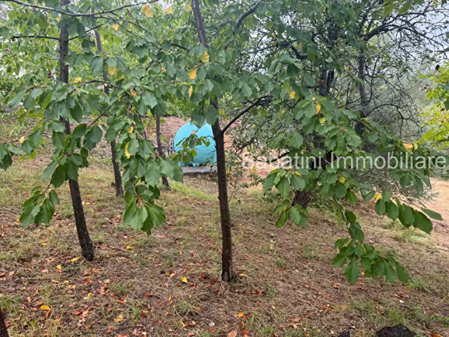 Immagine 19 di Casa indipendente in vendita  in SP81, 65010 Vestea PE a Civitella Casanova