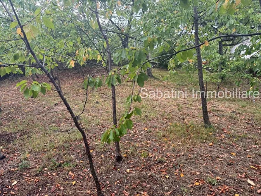 Immagine 20 di Casa indipendente in vendita  in SP81, 65010 Vestea PE a Civitella Casanova