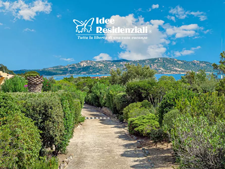 Immagine 1 di Appartamento in affitto  in vecchio marino 1 a Palau