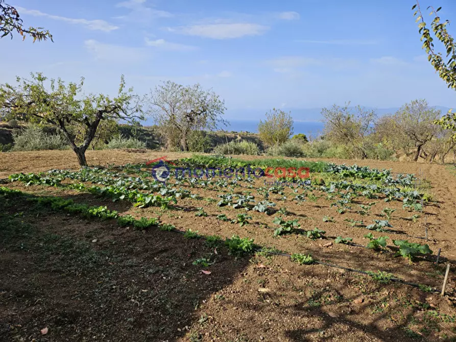 Immagine 1 di Terreno in vendita  in Contrada Gurnale a Reggio Di Calabria