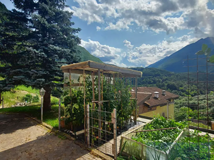 Immagine 30 di Appartamento in vendita  in S. Margherita, 1/A a Ton