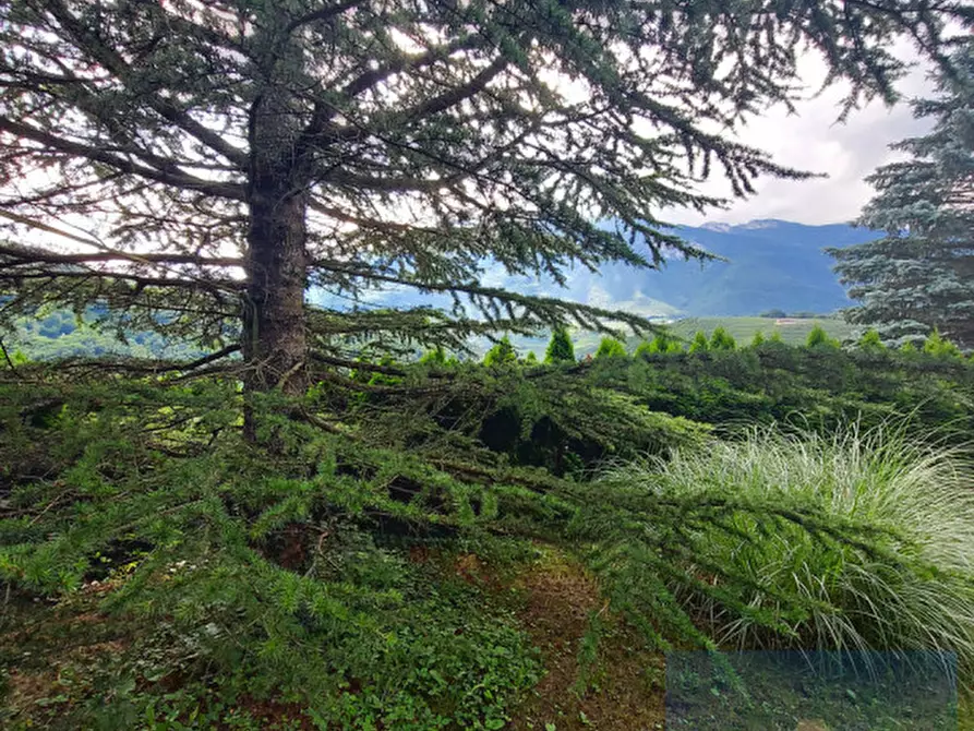 Immagine 36 di Appartamento in vendita  in S. Margherita, 1/A a Ton