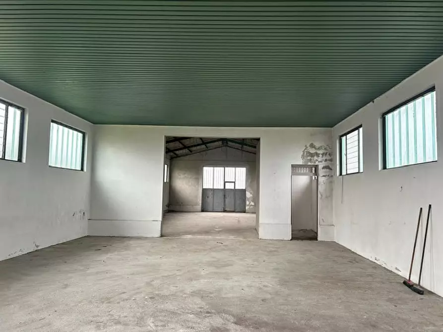 Immagine 8 di Casa indipendente in vendita  a Piacenza D'adige