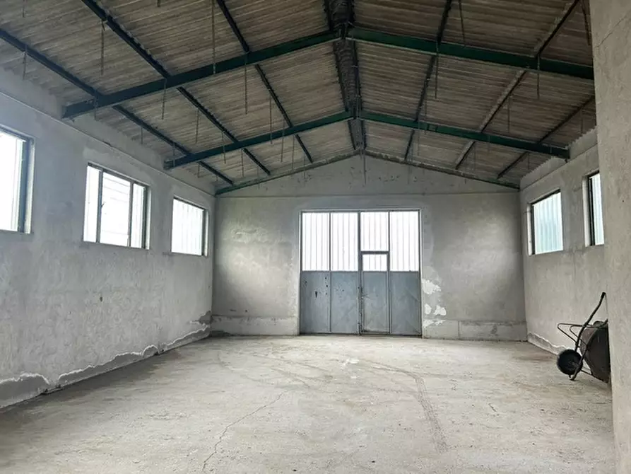 Immagine 9 di Casa indipendente in vendita  a Piacenza D'adige