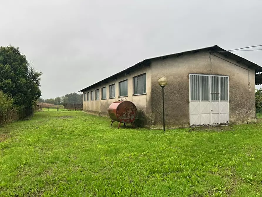 Immagine 11 di Casa indipendente in vendita  a Piacenza D'adige