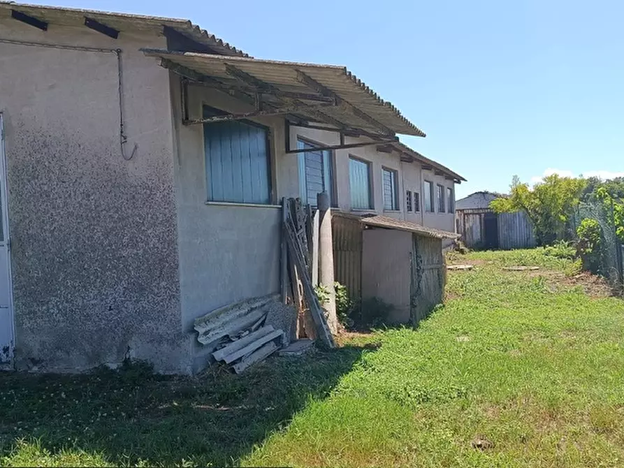 Immagine 11 di Casa indipendente in vendita  a Piacenza D'adige