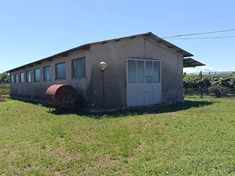 Immagine 12 di Casa indipendente in vendita  a Piacenza D'adige