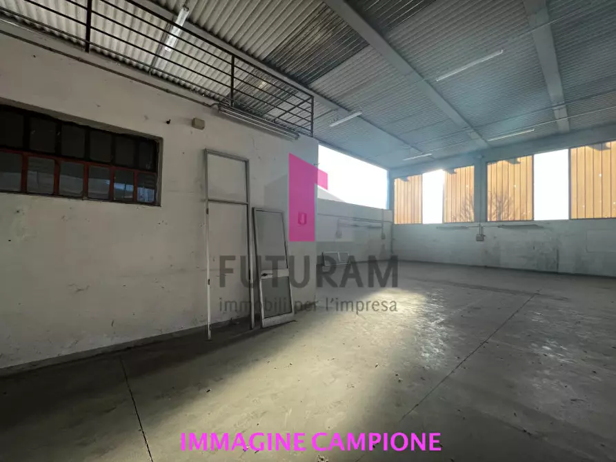 Immagine 5 di Capannone industriale in vendita  a Villafranca Padovana