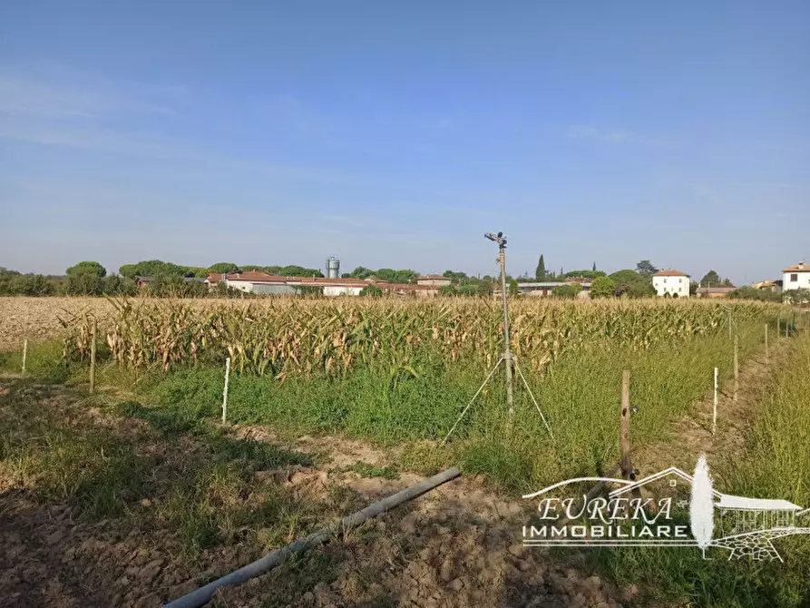 Immagine 7 di Villa in vendita  in via roma 152 a Castiglione Del Lago