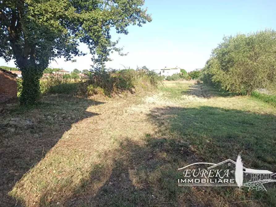 Immagine 8 di Villa in vendita  in via roma 152 a Castiglione Del Lago