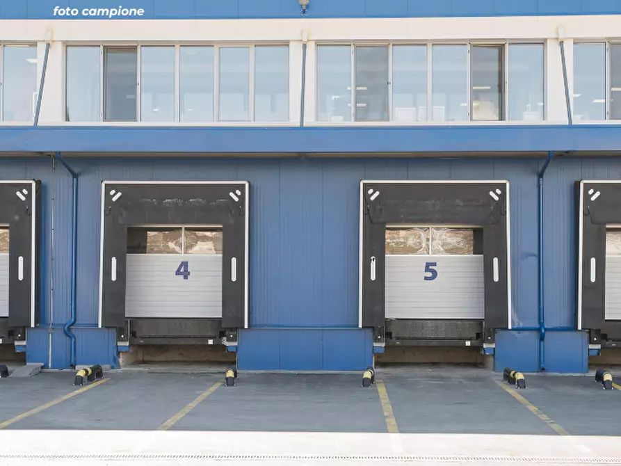 Immagine 6 di Capannone industriale in vendita  a Casale Di Scodosia