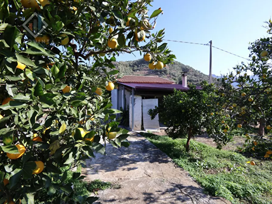 Immagine 2 di Terreno in vendita  in c.da Falco snc a Palagonia