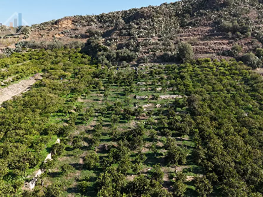Immagine 4 di Terreno in vendita  in c.da Falco snc a Palagonia