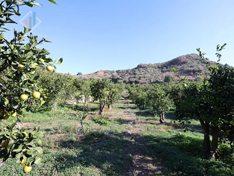 Immagine 9 di Terreno in vendita  in c.da Falco snc a Palagonia