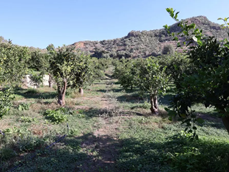 Immagine 10 di Terreno in vendita  in c.da Falco snc a Palagonia