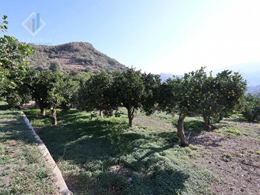 Immagine 11 di Terreno in vendita  in c.da Falco snc a Palagonia
