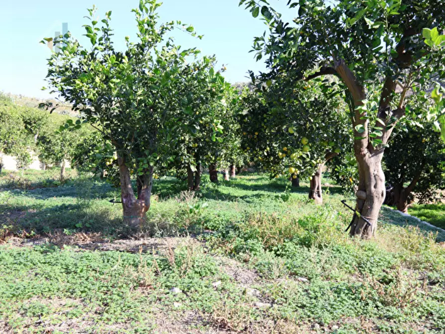 Immagine 12 di Terreno in vendita  in c.da Falco snc a Palagonia