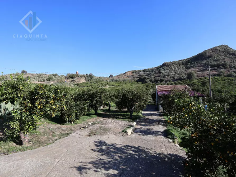 Immagine 14 di Terreno in vendita  in c.da Falco snc a Palagonia