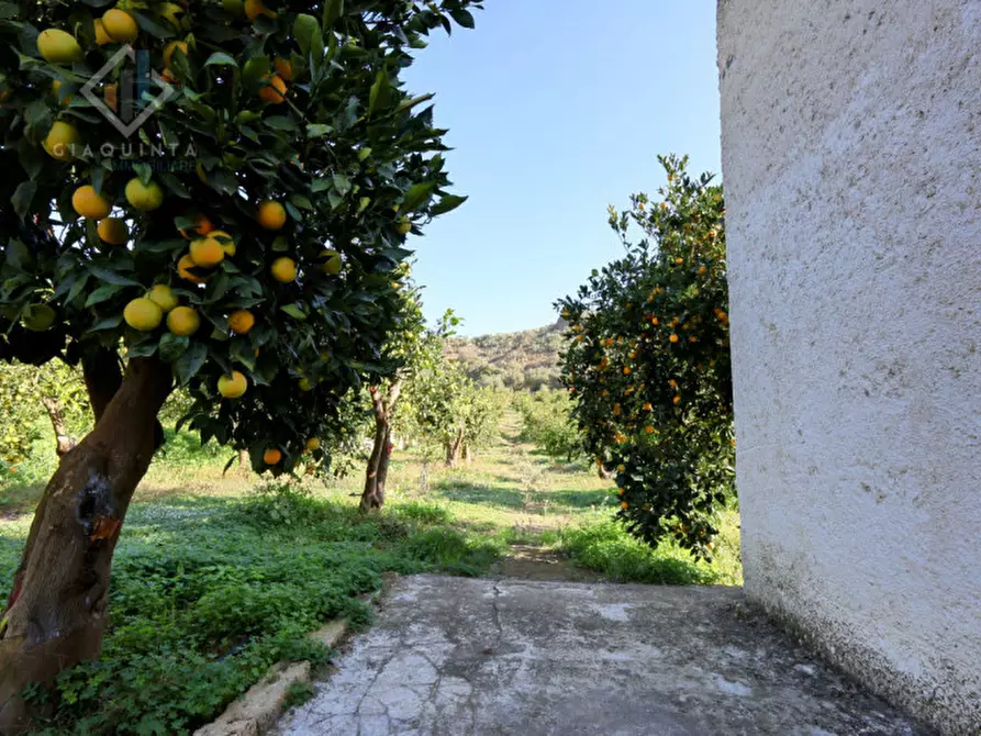 Immagine 15 di Terreno in vendita  in c.da Falco snc a Palagonia