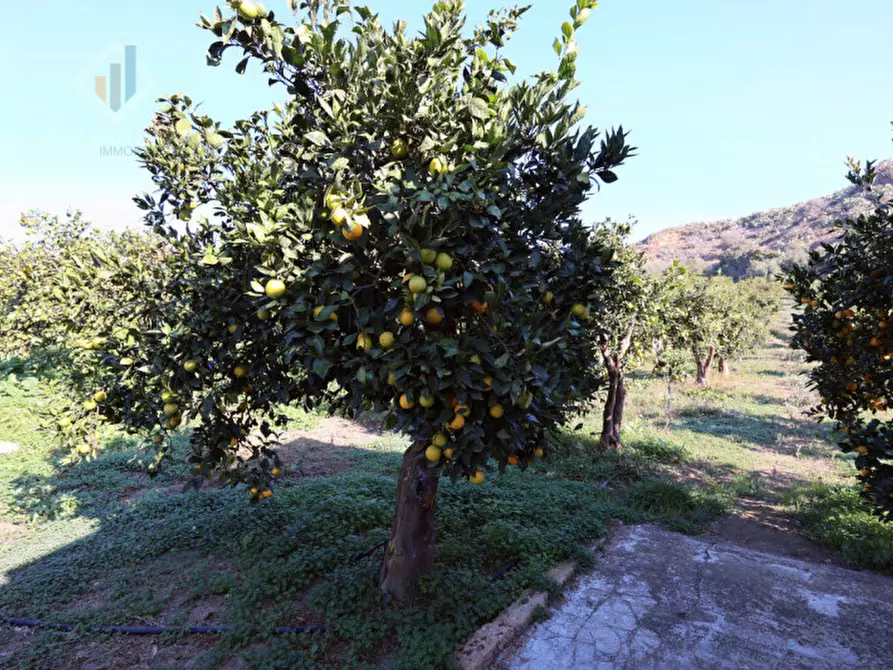 Immagine 16 di Terreno in vendita  in c.da Falco snc a Palagonia